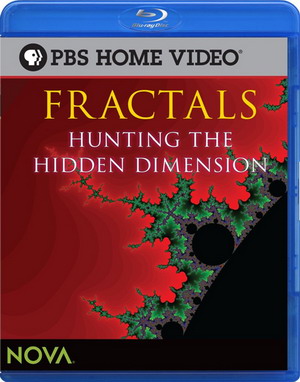 .    / Fractals. Hunting The Hidden Dimension