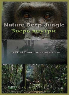  .   / Deep Jungle. The Beast Within (2005) HDTVRip