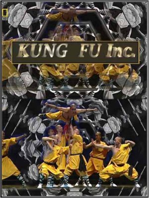 .  - / Kung Fu Inc. (2009) HDRip
