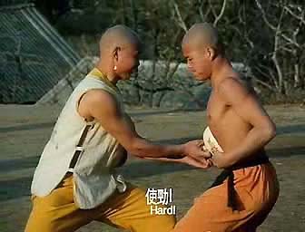     / Shao Lin zhen gong fu (1995) VHSRip