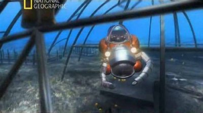    :   / Naked Science: City under the sea (2010) SATRip