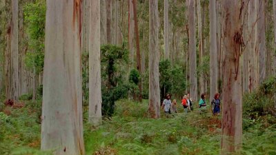  :  / IMAX - Wild Australia: The Edge (1996) BDRip 1080p