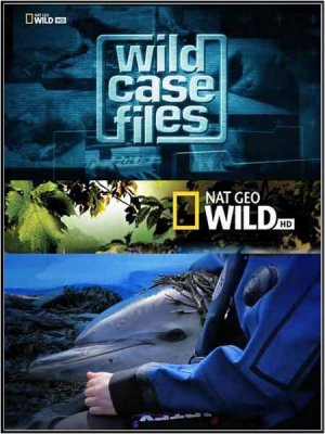   .     / Wild Case Files (2011) HDTVRip