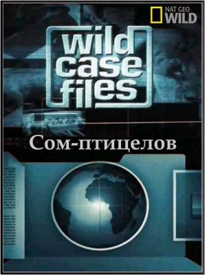   . - / Wild Case Files (2011) SATRip