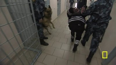  .     / Inside. Russias Toughest Prisons (2011) HDTVRip 720p