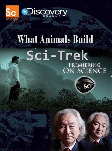 Наука и техника. Что строят животные? / Sci-Trek. What Animals Build? (2009) SATRip Наука и техника. Что строят животные? / Sci-Trek. What Animals Build? (2009) SATRip