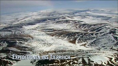   .  / The wild nature of Russia. Arctic (2010) HDTV