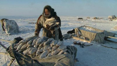     / Becoming a Man in Siberia (2008) BDRip 720p