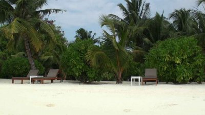: .   / Malediven: HD Impressionen Traumhafter Inseln (2011) BDRip