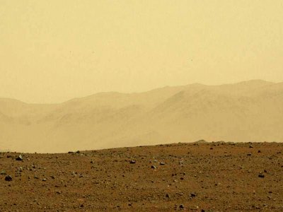  Curiosity        ()