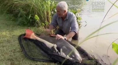  .   / River monsters. Asian Slayer (2012) SATRip