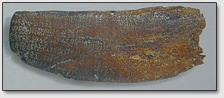    - (Rongorongo) -     .
