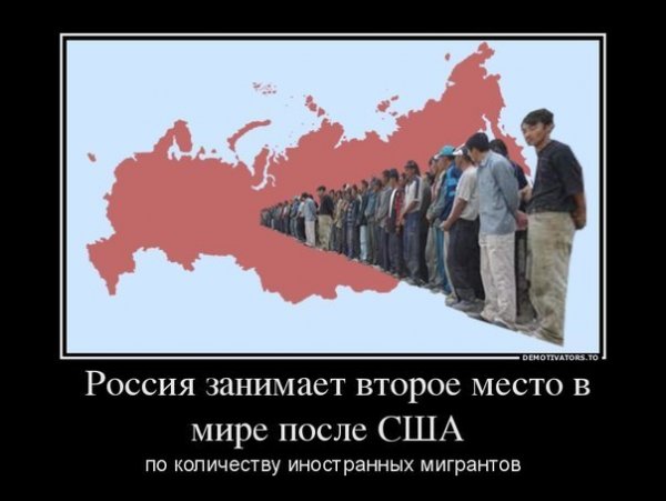 Вопрос Русской девушки мигрантам из Центральной Азии, заданный устами Германа Садулаева