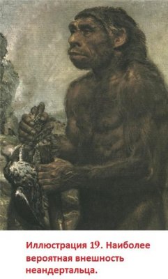 Неандерталец, найденный в льдах Альп. Человек действительно не произошёл от неандертальца.