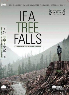    / If a Tree Falls