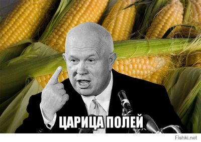    1953,     