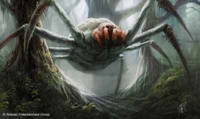 Гигантские пауки-людоеды существуют