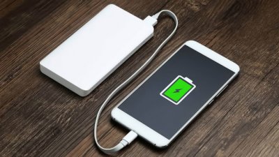 Power bank:   ?