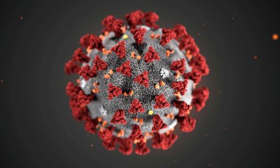 Что все еще неизвестно о коронавирусе?