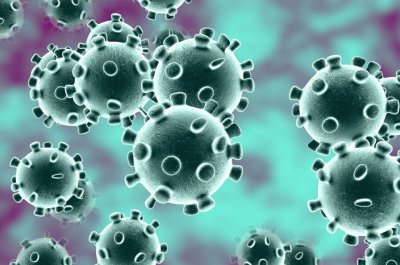 Ковид-террор и настоящие научные сведения о коронавирусе