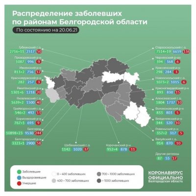 Ситуация с эффективностью вакцинации в Белгородской области