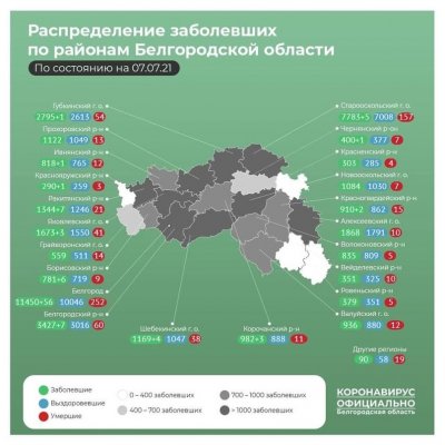 Ситуация с эффективностью вакцинации в Белгородской области