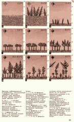 Что такое штормгласс. В. Жвирблис. Химия и жизнь, 1979, №6, с.75