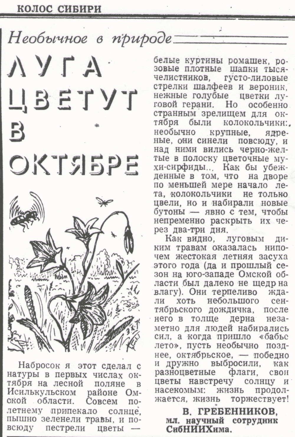 Луга цветут в октябре. В.С. Гребенников. Колос Сибири, 12.10.1975.