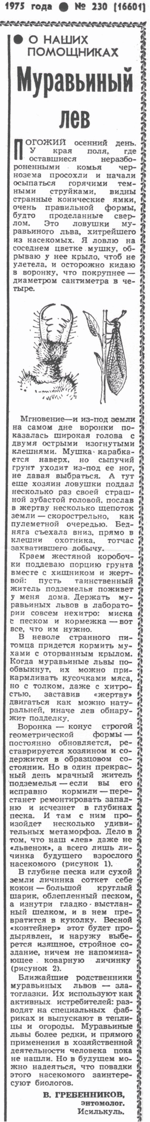 Муравьиный лев. В.С. Гребенников. Сельская жизнь, 01.10.1975.