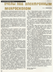 Пчелы под электронным микроскопом. В.С. Гребенников. Пчеловодство, 1978, №1, с.10.