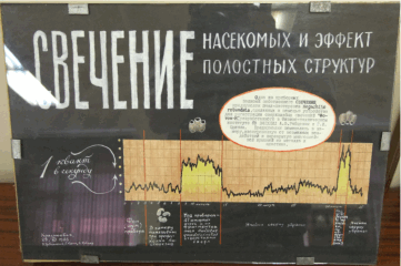 Стенд: Свечение насекомых и ЭПС
