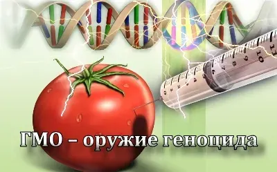 ГМО – оружие геноцида [2011 г., Информационный]