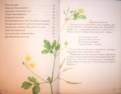 СПИСОК КНИГ ПО ТЕМЕ РАСТЕНИЯ, ИСПОЛЬЗУЕМЫЕ В ЛЕЧЕНИИ