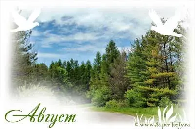 Наталья Неволина: Месяц АВГУСТ