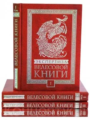 Новое видение Велесовой книги (Анонс эфира 26 ноября 2015 года в 20:00 по МСК)