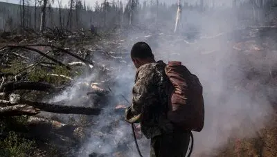30 новых лесных пожаров вспыхнуло на Дальнем Востоке