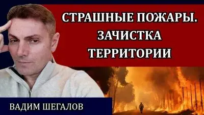 Страшные пожары. Зачистка территории