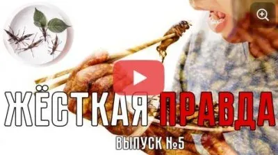Жесткая правда. Выпуск 5