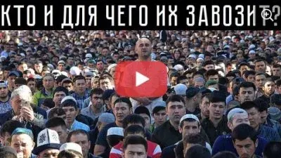Кто и для чего их завозит?