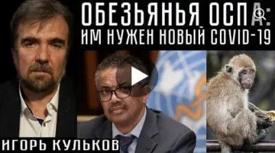 Обязьянья оспа: им нужен новый COVID