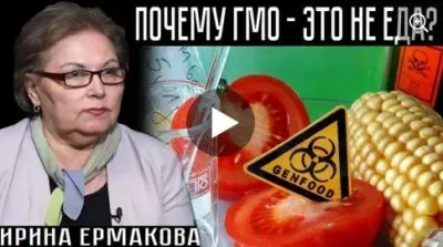 Почему ГМО - это не еда
