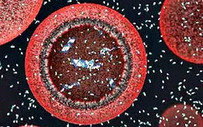 Создание протоклетки искусственным путём [Наука]