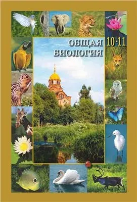 МАРА-ЗМ. МАссовое РАзжижение мозгов Золотого Миллиарда.