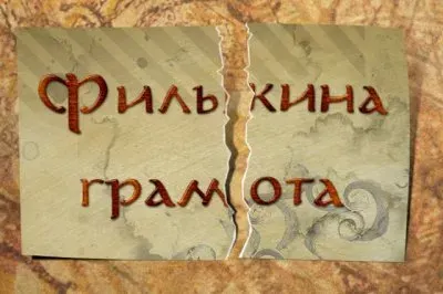 Я наблюдал за выборами.