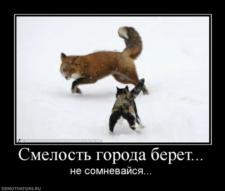 Русский образный язык: Смелость, как понятие в русском языке Русский образный язык: Смелость, как понятие в русском языке