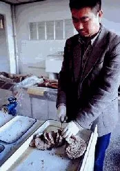 Особенности китайской кухни Особенности китайской кухни
