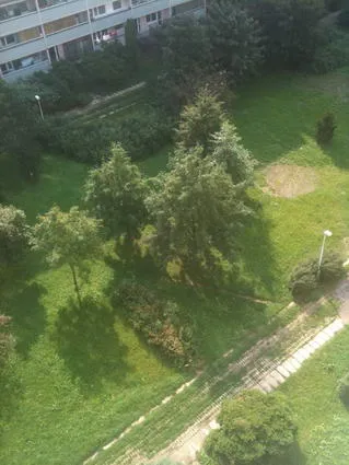 Он Вас слышит, но нет, его географически в России, НЕТ! Он Вас слышит, но нет, его географически в России, НЕТ!
