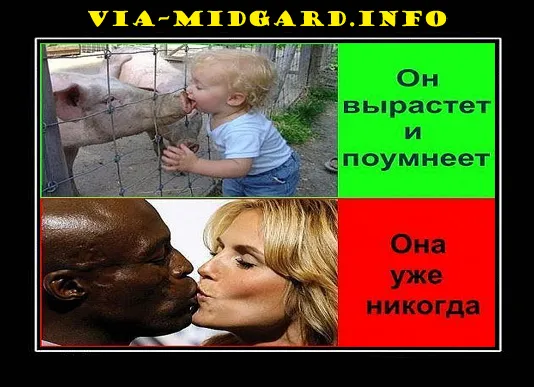 Славянские Демотиваторы Часть 5