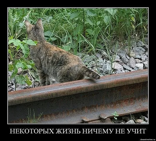 Славянские Демотиваторы Часть 5