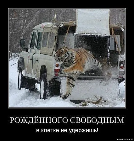 Славянские Демотиваторы Часть 5